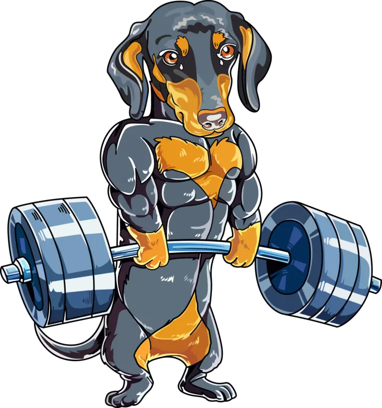 VECTOR FOR D2G PRINTING